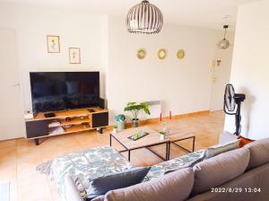 TV a/nebo společenská místnost v ubytování Appart Douillet