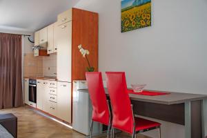 Kuchyň nebo kuchyňský kout v ubytování Apartments Betty Borik