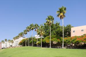 un parco con palme di fronte a un edificio di 127 SANTA CRUZ Views a Santa Cruz de Tenerife