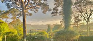 Paesaggio naturale nelle vicinanze dell'appartamento