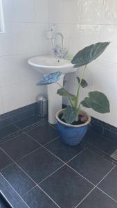 un bagno con un lavandino e una pianta in vaso di Mountain Suite, Stunning Views, Brecon Beacons a Llanhamlach Altre 8 foto