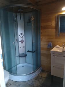 a shower with a glass door in a bathroom at Tiny House Village Resort 