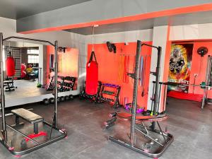 Milimani Cosy Condo في ناكورو: صالة ألعاب رياضية مع بعض المعدات في الغرفة