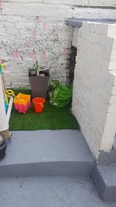 a plant sitting on the grass next to a brick wall at 29a Margate in Kent