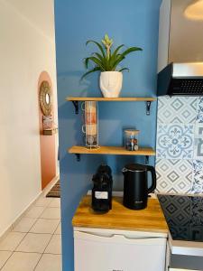 a kitchen with a counter with a plant on a shelf at Appartement cosy à Grand Case, proche aéroport. in Grand Case