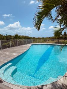 une grande piscine bleue avec un palmier dans l'établissement Appartement cosy à Grand Case, proche aéroport., à Grand-Case