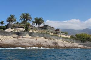 een strand met palmbomen en een huis aan de kust bij Loft in Adeje