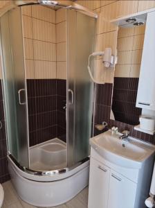 a bathroom with a shower and a sink at Apartmani Selektor in Bijelo Polje