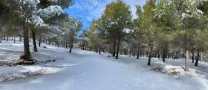 La casita del pueblo during the winter