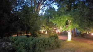 Vonkajšia záhrada v ubytovaní Château d'Arfeuilles Chambres et tables d'hôtes