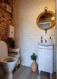 een badkamer met een toilet, een wastafel en een spiegel bij Gluosnių vila - Adutiškio pirtis in Švenčionys