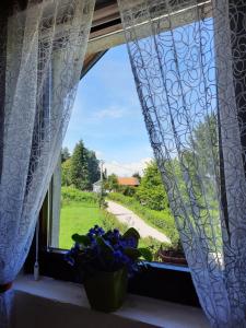 Afbeelding uit fotogalerij van Ravne Konak in Visoko +22 foto's