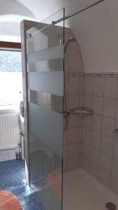 a shower with a glass door in a bathroom at Apartment Kirchenblick in Weissenkirchen in der Wachau