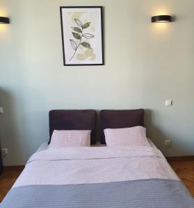 a bed with two pink pillows in a bedroom at Center Apartment in Warsaw