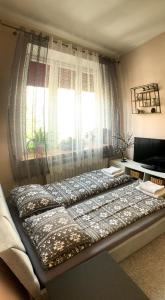 Een bed of bedden in een kamer bij Apartament przy Dworcu