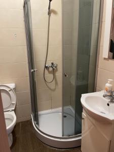 a bathroom with a shower and a toilet and a sink at Budget Inn Amzei in Bucharest