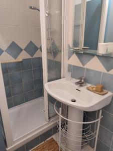 奧賽的住宿－Gite Orsay, 300m RER，一间带水槽和淋浴的浴室