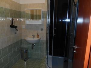 a bathroom with a shower and a sink at Apartment Karlovy Vary in Karlovy Vary