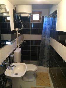 a bathroom with a toilet and a sink and a shower at Apartments Avram in Vršac