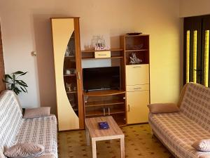 TV a/nebo společenská místnost v ubytování Apartments Ljiljana