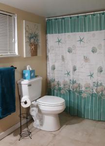 a bathroom with a toilet and a shower curtain at Nana's Cheerful cottage in Melbourne