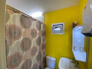 uma casa de banho com uma cortina de chuveiro e um WC em The Condo Palace in Agia Marina em Agia Marina