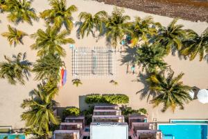 an overhead view of a building with palm trees at Miramar Suites in Placencia
