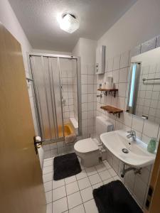 y baño con ducha, aseo y lavamanos. en Ferienwohnung am Hillestausee en Winterberg