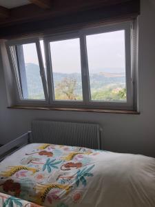 a bedroom with a bed and a window with views at gîte de montagne au pied du Champ du Feu (Alsace) in Belmont