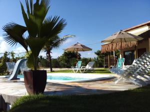una palmera sentada junto a una piscina en Chalés Ed Moitas, en Praia de Moitas