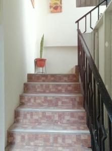 a set of stairs with a potted plant at Departamento D&C I entero acogedor in Huancayo