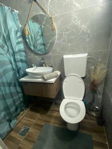 a bathroom with a toilet and a sink and a mirror at Smokvica in Stari Slankamen