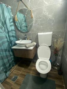 een badkamer met een toilet, een wastafel en een spiegel bij Smokvica in Stari Slankamen