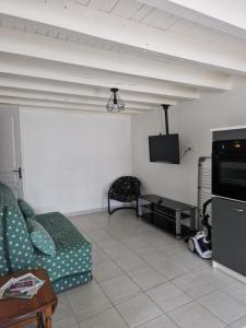 salon z kanapą i telewizorem z płaskim ekranem w obiekcie Loft ravissant avec parking gratuit sur place w mieście Lédat
