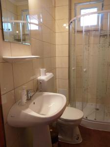 a bathroom with a toilet and a sink and a shower at Rapsodia Muntilor in Stațiunea Climaterică Sâmbăta +11 photos