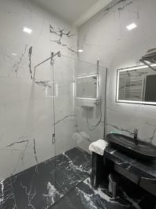 a bathroom with a shower and a sink and a mirror at Wels Inn City Apartments in Wels