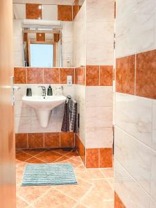 a bathroom with a sink and a shower at Zentrum, 2R, Balkon, WiFi, 4P, modern, ruhig in Chemnitz