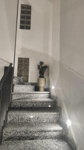 Φωτογραφία από το άλμπουμ του Novara στη Νοβάρα