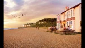 Foxes Sea Side Retreat Deluxe Chalet is a lovely holiday home tucked away on the Kent Coast في Kingsdown: مجموعة من الطيور تتطاير فوق مبنى على شاطئ