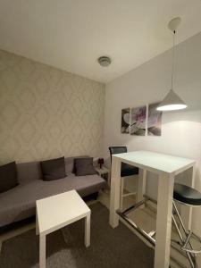 ein Wohnzimmer mit einem Sofa und einem Tisch in der Unterkunft City Apartments Ana in Belgrad