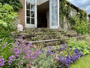 Zahrada ubytování Library Cottage by inspirestays-com