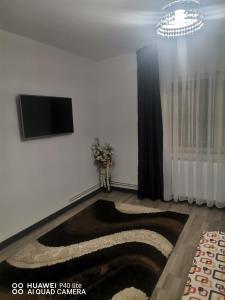 a living room with a television and a carpet at Casa Zeus in Seini