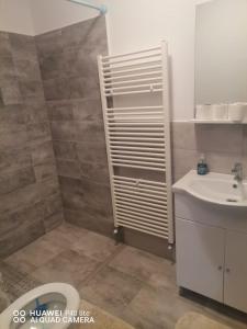 a bathroom with a shower with a sink and a toilet at Casa Zeus in Seini