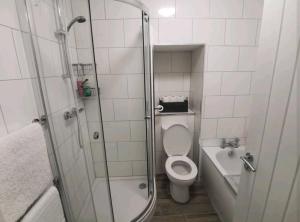 a bathroom with a shower and a toilet and a sink at Griffin 2 Apartments in Nottage