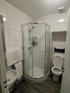 a bathroom with a shower and a toilet and a sink at Griffin 2 Apartments in Nottage