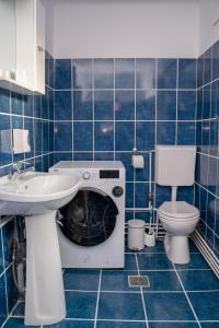 baño de azulejos azules con lavadora y aseo en Apartament Panoramic la casa in comuna Rasinari, en Răşinari