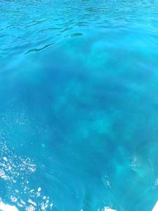 a large body of blue water at B&b Anna's home in Marina di Camerota