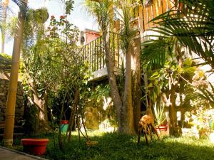 a giraffe standing in the grass next to a building at Hospedaje Eli Panajachel in Panajachel