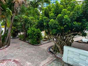 um jardim com árvores e uma caminhada em Tropi Rock em Fort Lauderdale