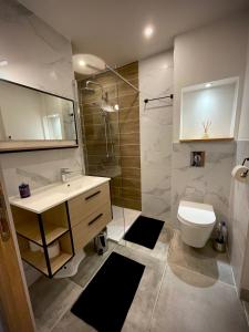 ein Bad mit einem Waschbecken, einem WC und einer Dusche in der Unterkunft Très bel appartement central, au calme avec balnéo in Perpignan